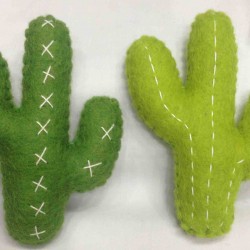 New cactus plant-Hand made