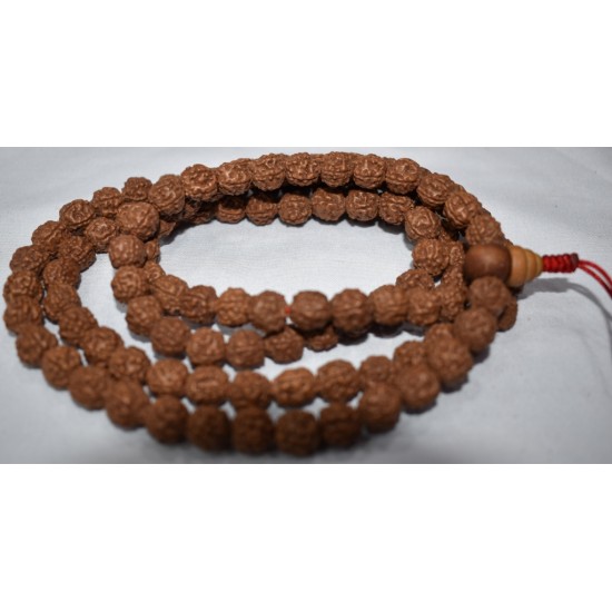Rudrakasha 8 MM and 108 Beads for Japamala and Necklace/Meditation Necklace