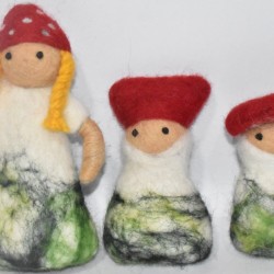 Mushroom Family Set/Felted mushroom 