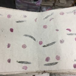 Petal and Fern Plant Lokta Paper