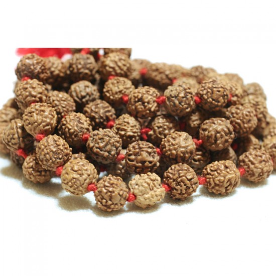 Rudraksha Mala