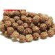 Rudraksha Mala